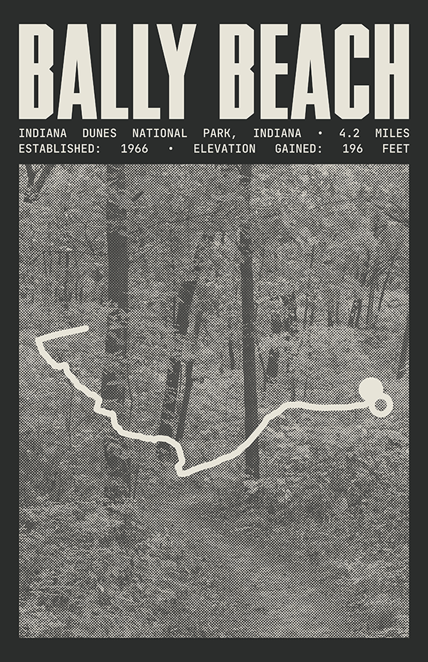 Bally Beach via Cowles Bog Trail Poster | Indiana Dunes National Park Prints