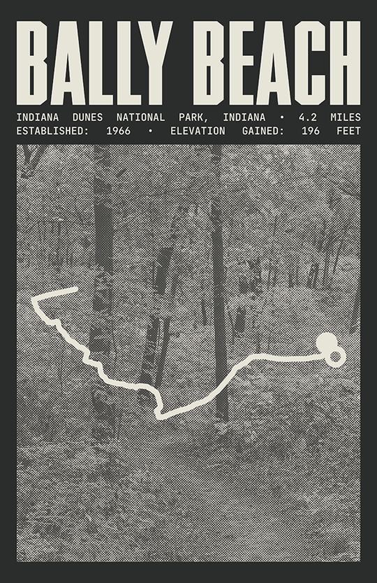 Bally Beach via Cowles Bog Trail Poster | Indiana Dunes National Park Prints