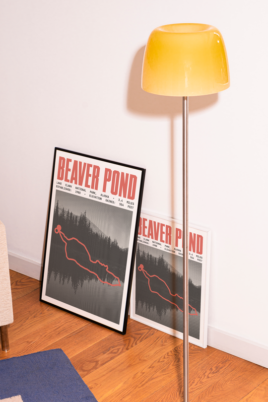 Beaver Pond Loop Poster | Lake Clark National Park Prints