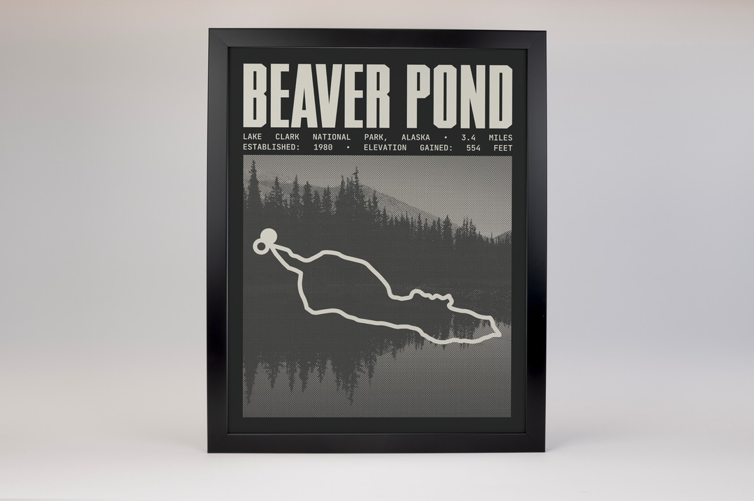 Beaver Loop Beaver Pond Loop Poster | Lake Clark National Park Prints – Park-Poster