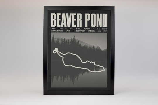 Beaver Pond Loop Poster | Lake Clark National Park Prints