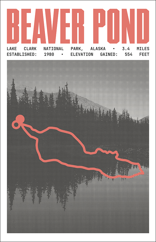 Beaver Pond Loop Poster | Lake Clark National Park Prints