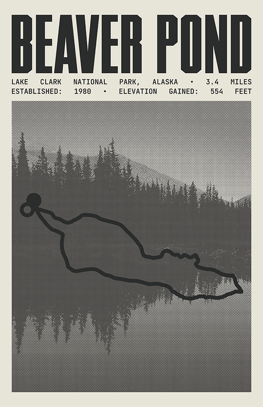 Beaver Pond Loop Poster | Lake Clark National Park Prints