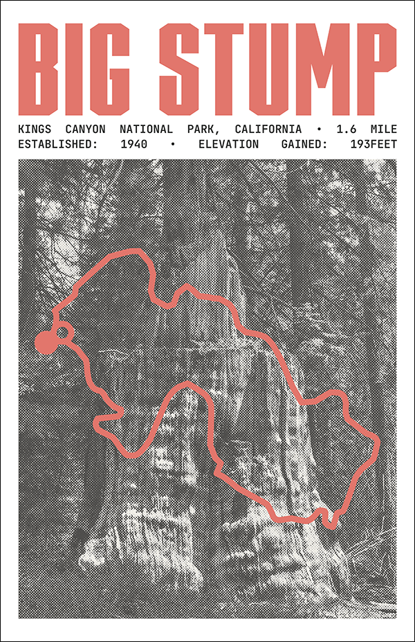 Big Stump Loop Poster | Kings Canyon National Prints