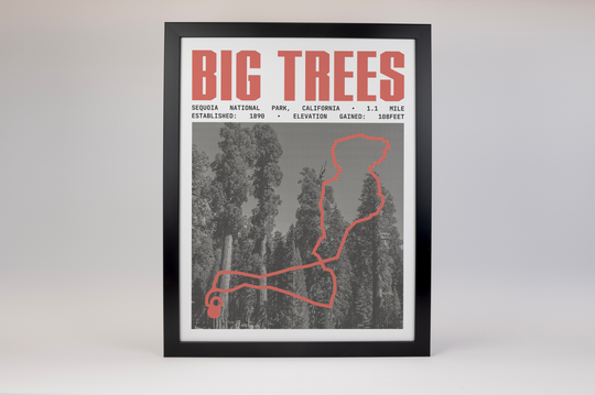 Big Trees Trail Poster | Sequoia National Park Prints