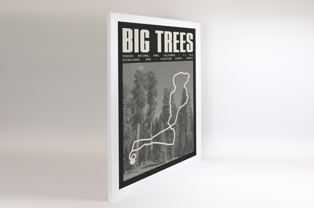 Big Trees Trail Poster | Sequoia National Park Prints