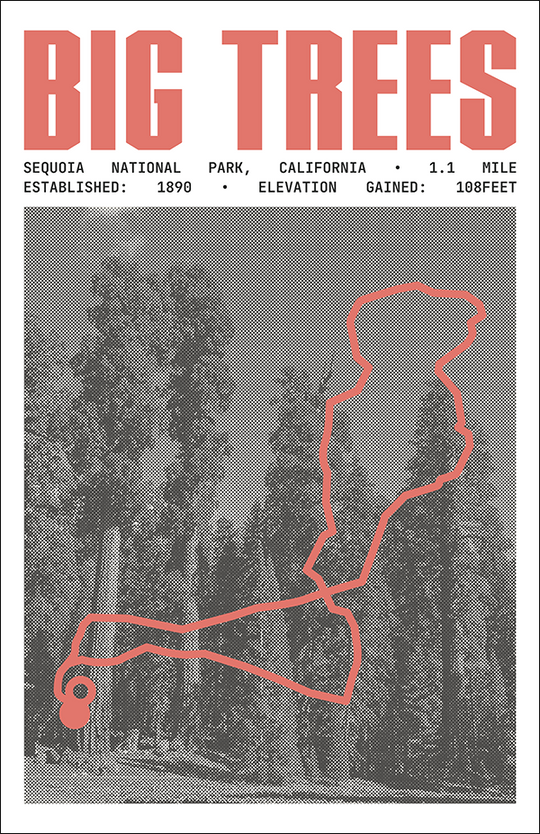 Big Trees Trail Poster | Sequoia National Park Prints