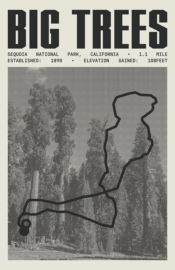 Big Trees Trail Poster | Sequoia National Park Prints