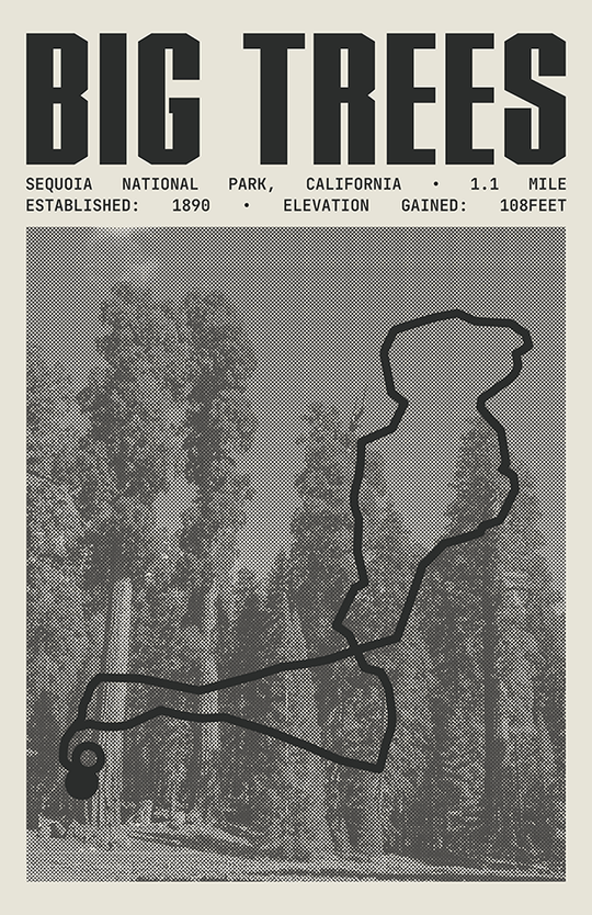 Big Trees Trail Poster | Sequoia National Park Prints