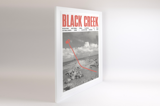 Black Creek Canal Poster | Biscayne National Park Prints