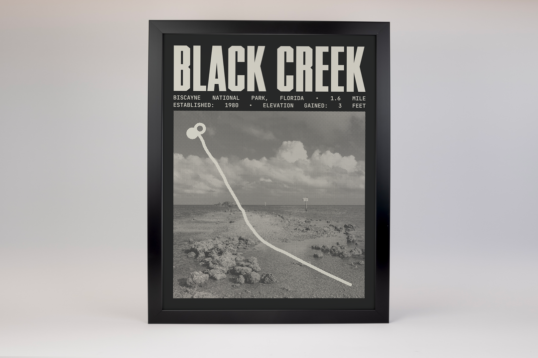 Black Creek Canal Poster | Biscayne National Park Prints