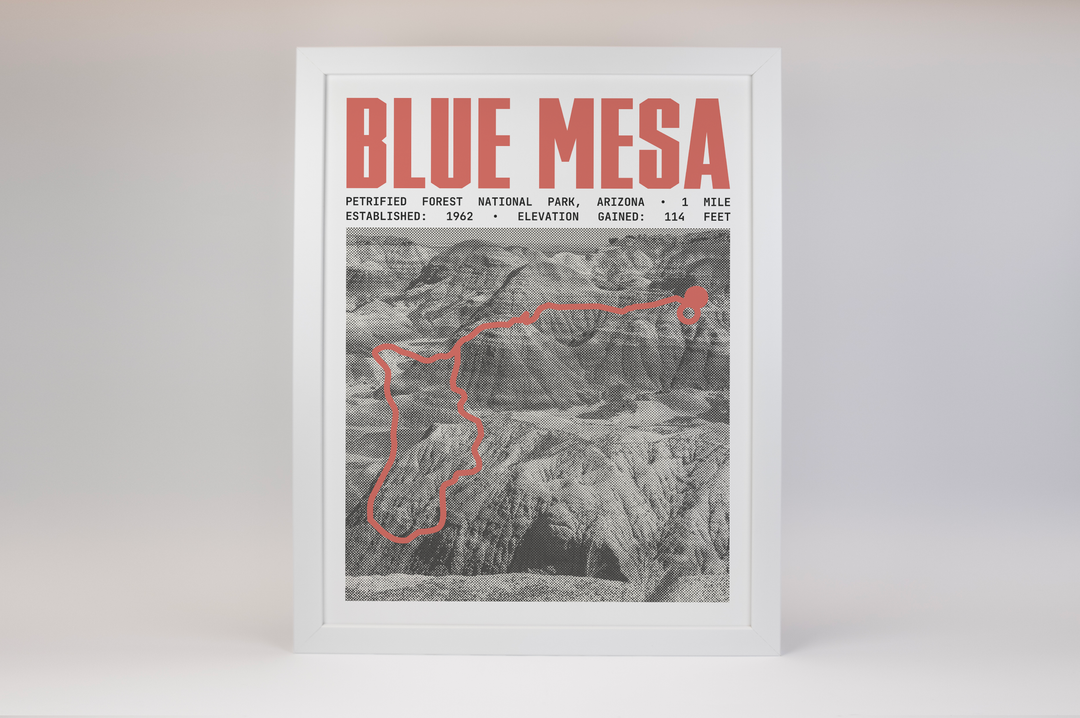 Blue Mesa Trail Poster | Petrified Forest National Park Prints