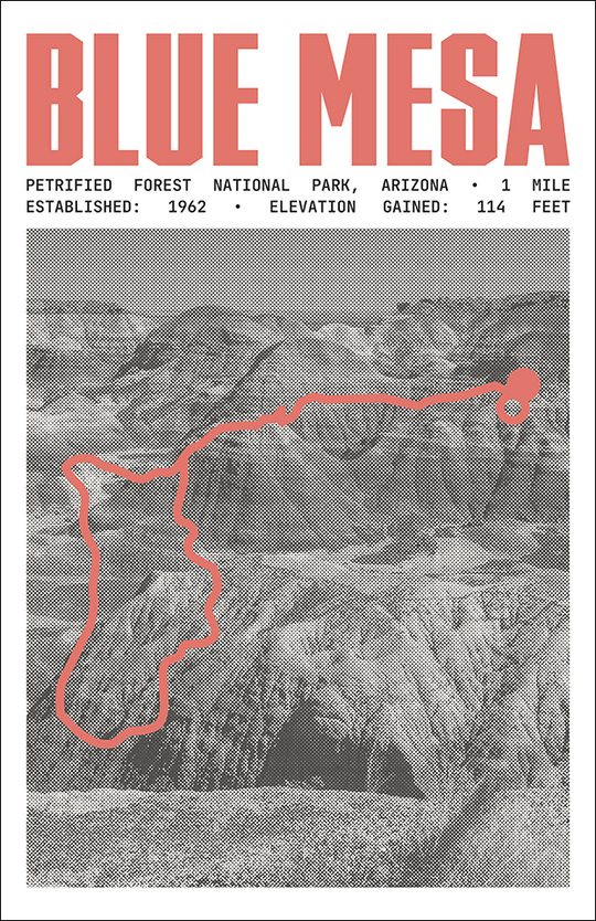 Blue Mesa Trail Poster | Petrified Forest National Park Prints