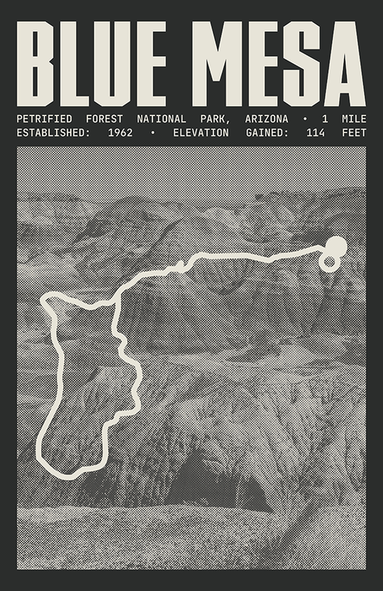 Blue Mesa Trail Poster | Petrified Forest National Park Prints