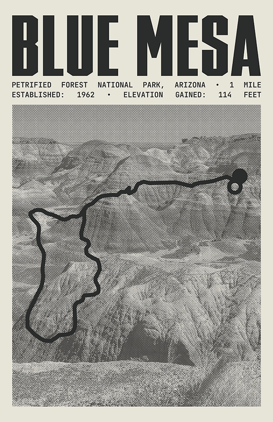 Blue Mesa Trail Poster | Petrified Forest National Park Prints