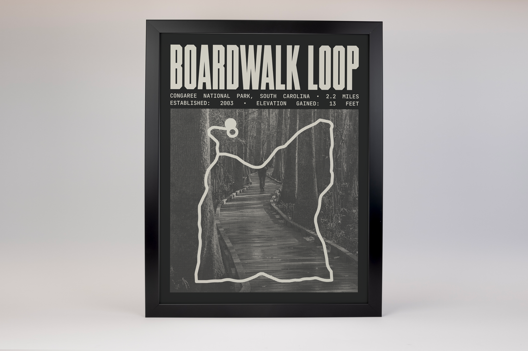 Boardwalk Loop Poster | Congaree National Park Prints