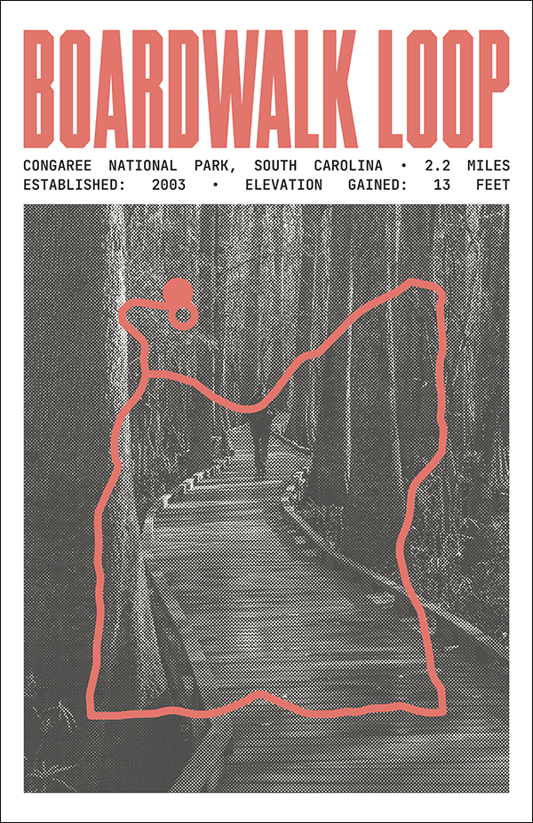 Boardwalk Loop Poster | Congaree National Park Prints