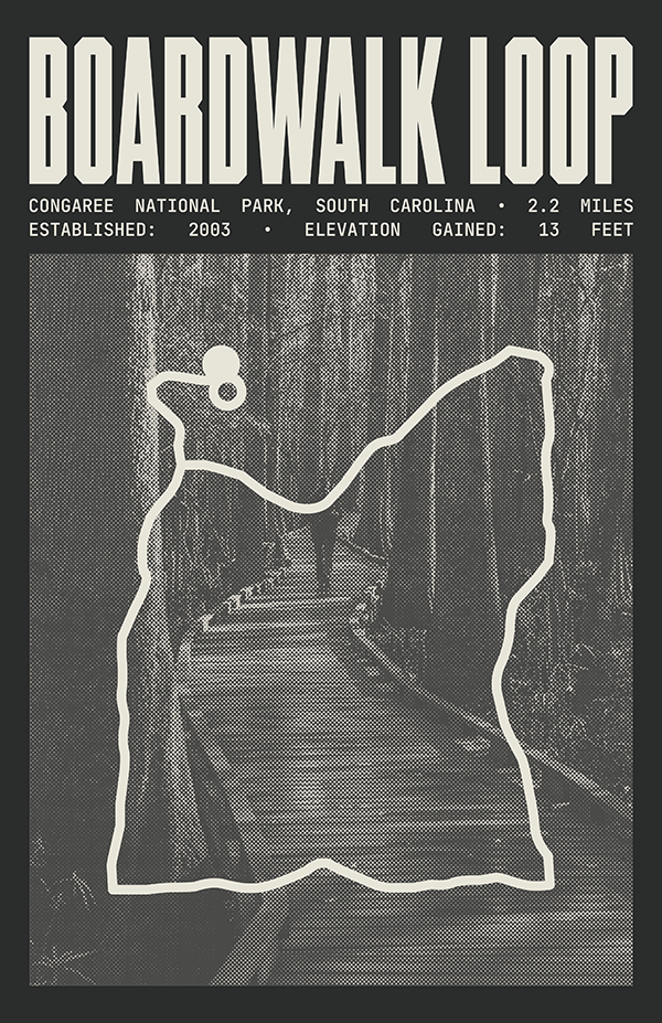 Boardwalk Loop Poster | Congaree National Park Prints