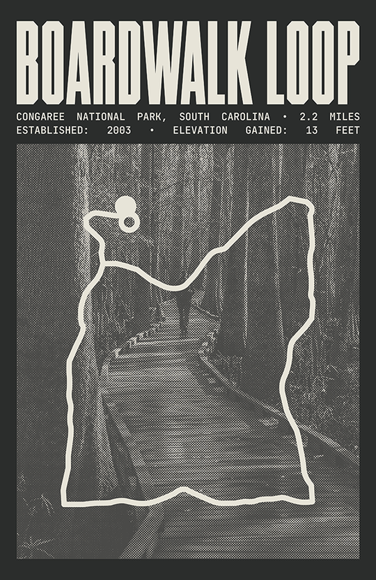 Boardwalk Loop Poster | Congaree National Park Prints