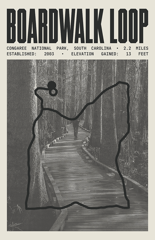 Boardwalk Loop Poster | Congaree National Park Prints