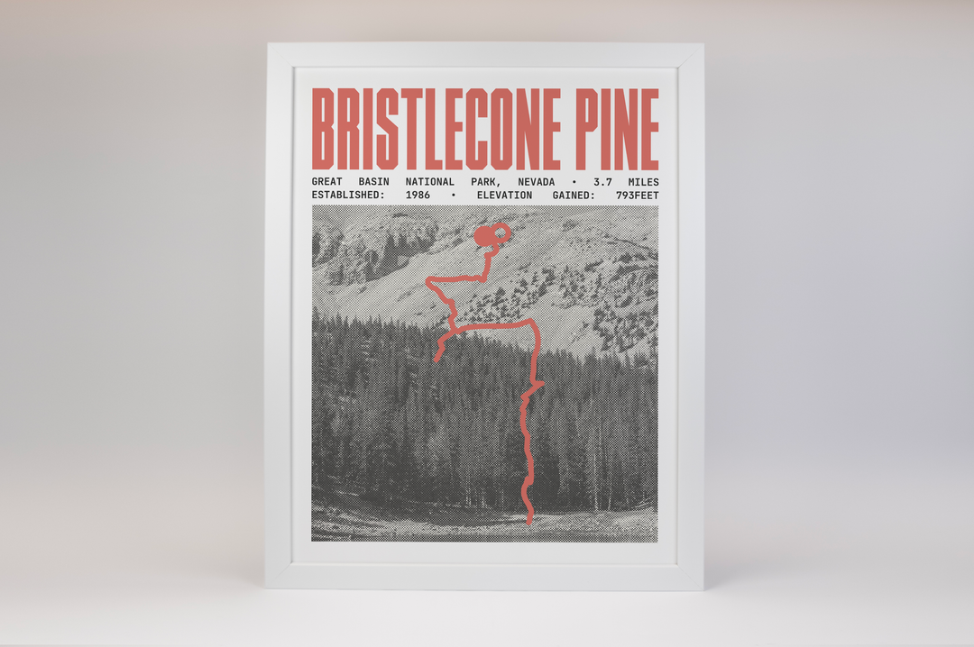 Bristlecone Pine Glacier Trail Poster | Great Basin National Park Prints