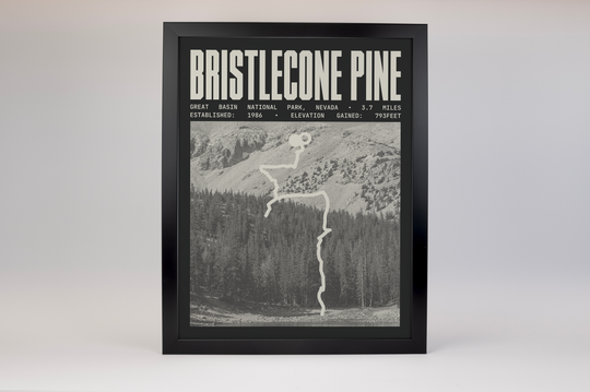 Bristlecone Pine Glacier Trail Poster | Great Basin National Park Prints