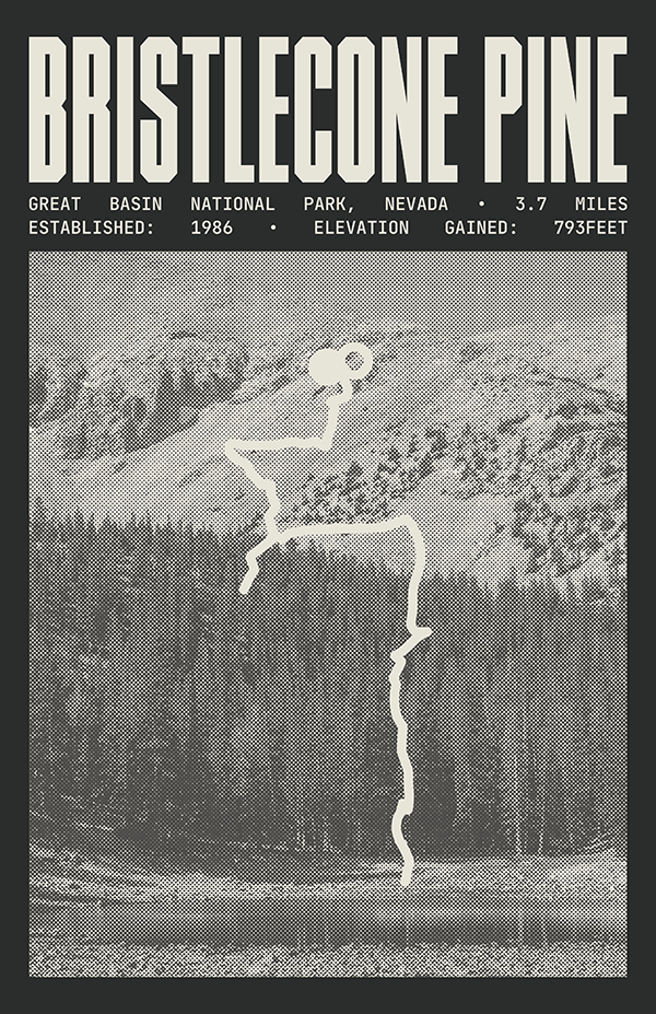 Bristlecone Pine Glacier Trail Poster | Great Basin National Park Prints