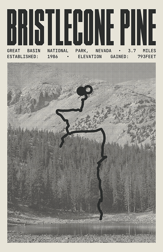 Bristlecone Pine Glacier Trail Poster | Great Basin National Park Prints