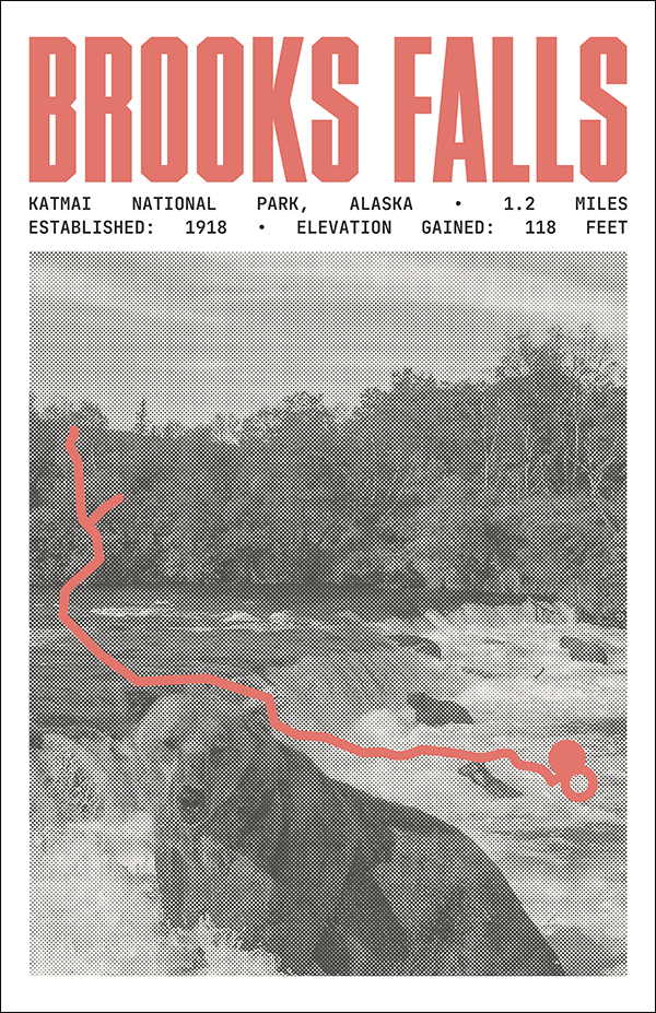 Brooks Falls Trail Poster | Katmai National Park Prints