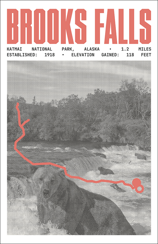 Brooks Falls Trail Poster | Katmai National Park Prints