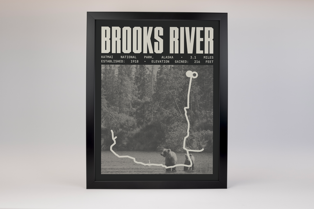 Brooks River Poster | Katmai National Park Prints