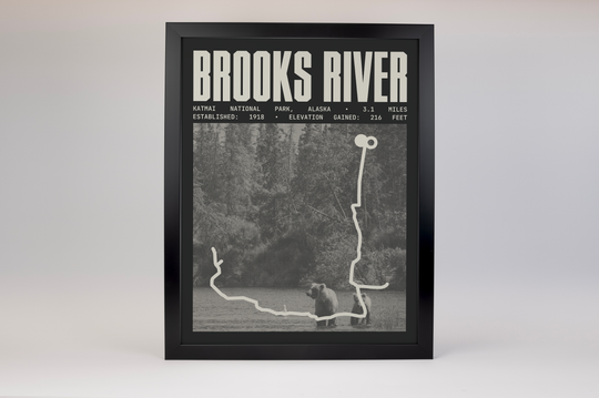 Brooks River Poster | Katmai National Park Prints