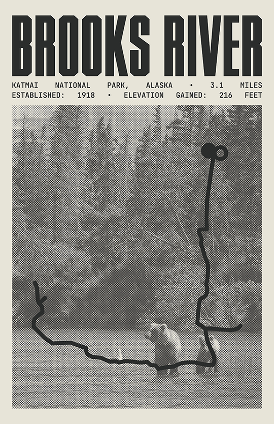 Brooks River Poster | Katmai National Park Prints