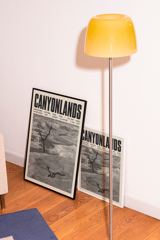 Canyonlands National Park Poster