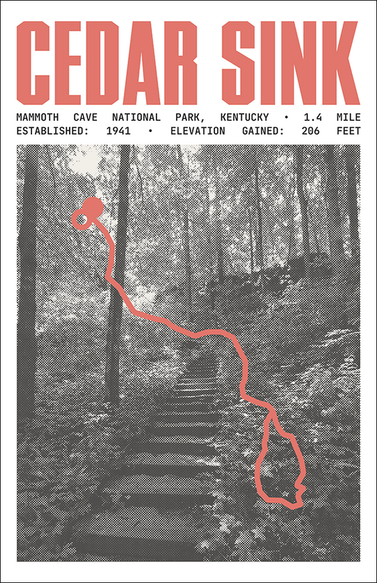 Cedar Sink Trail Poster | Mammoth Cave National Park Prints