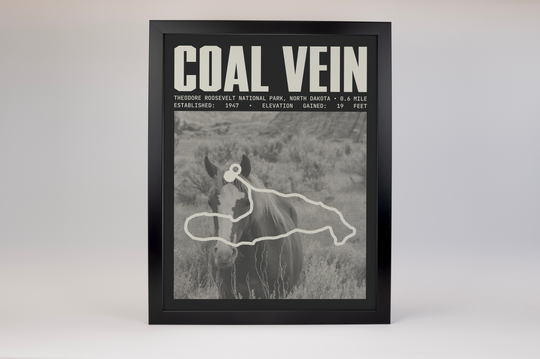 Coal Vein Trail Poster | Theodore Roosevelt National Park Prints