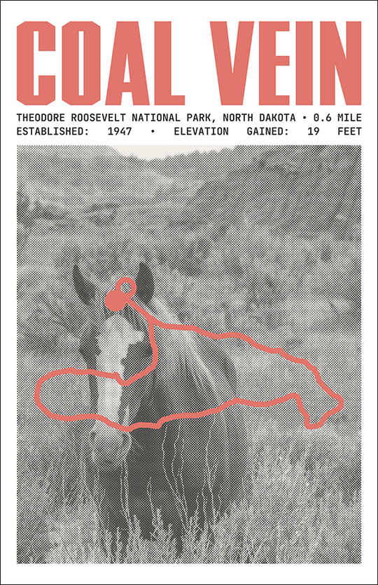 Coal Vein Trail Poster | Theodore Roosevelt National Park Prints