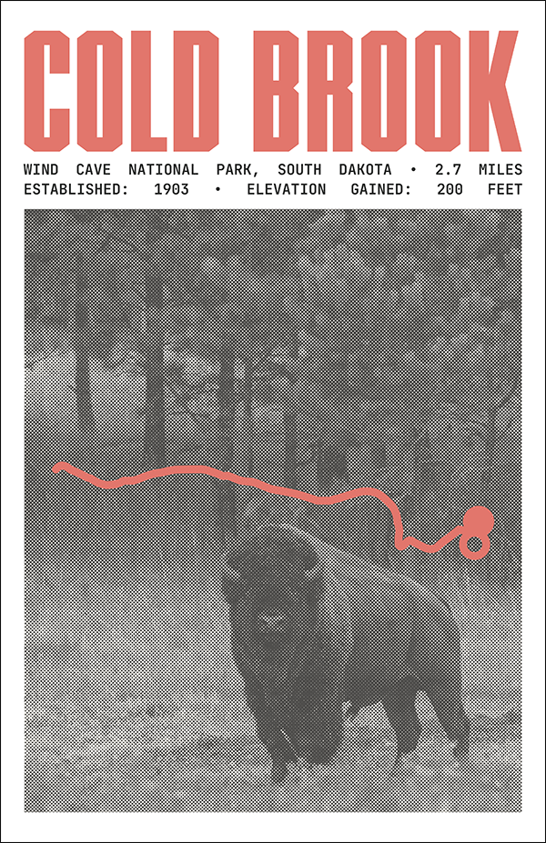 Cold Brook Canyon Trail Poster | Wind Cave National Park Prints
