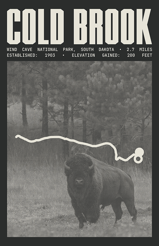 Cold Brook Canyon Trail Poster | Wind Cave National Park Prints