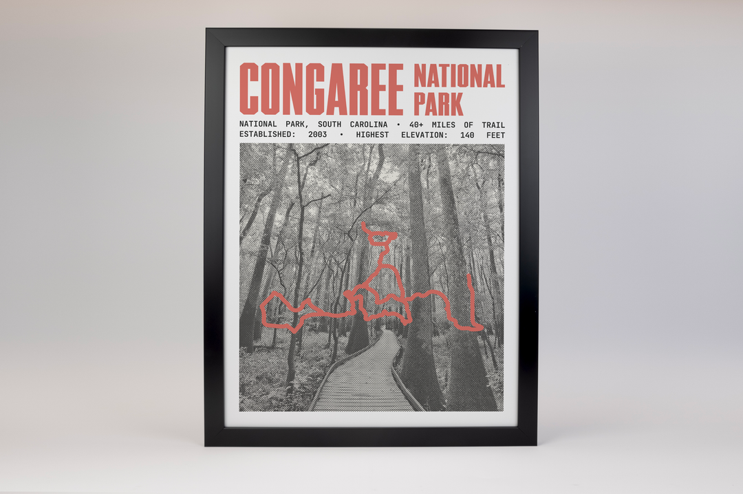 Congaree National Park Poster