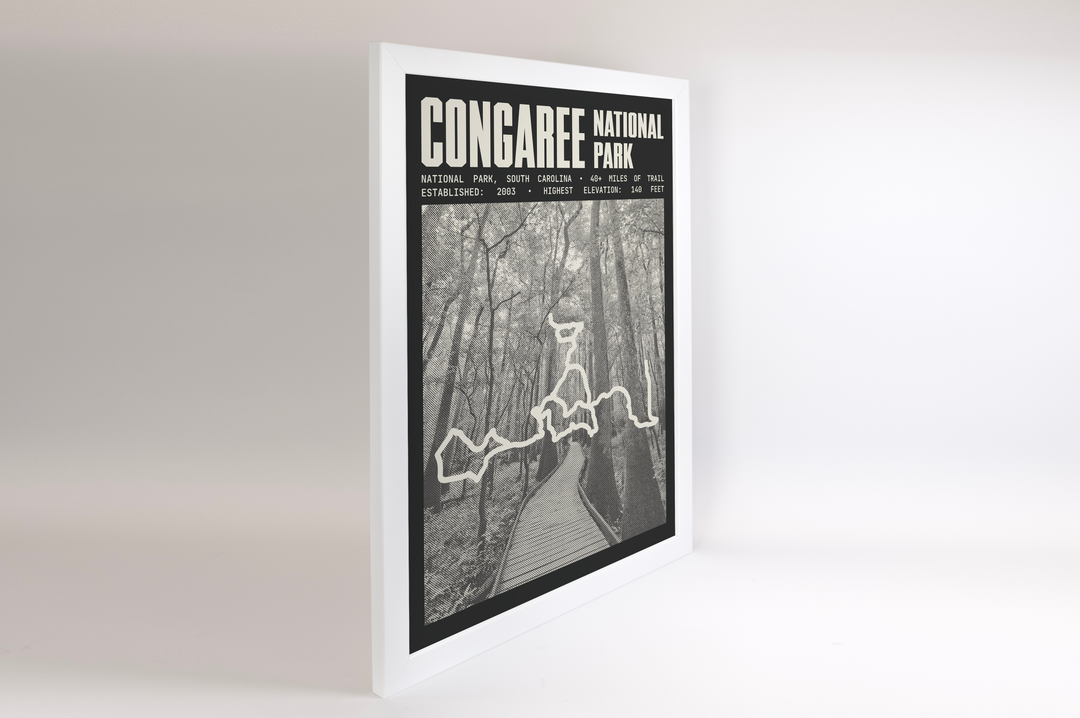 Congaree National Park Poster
