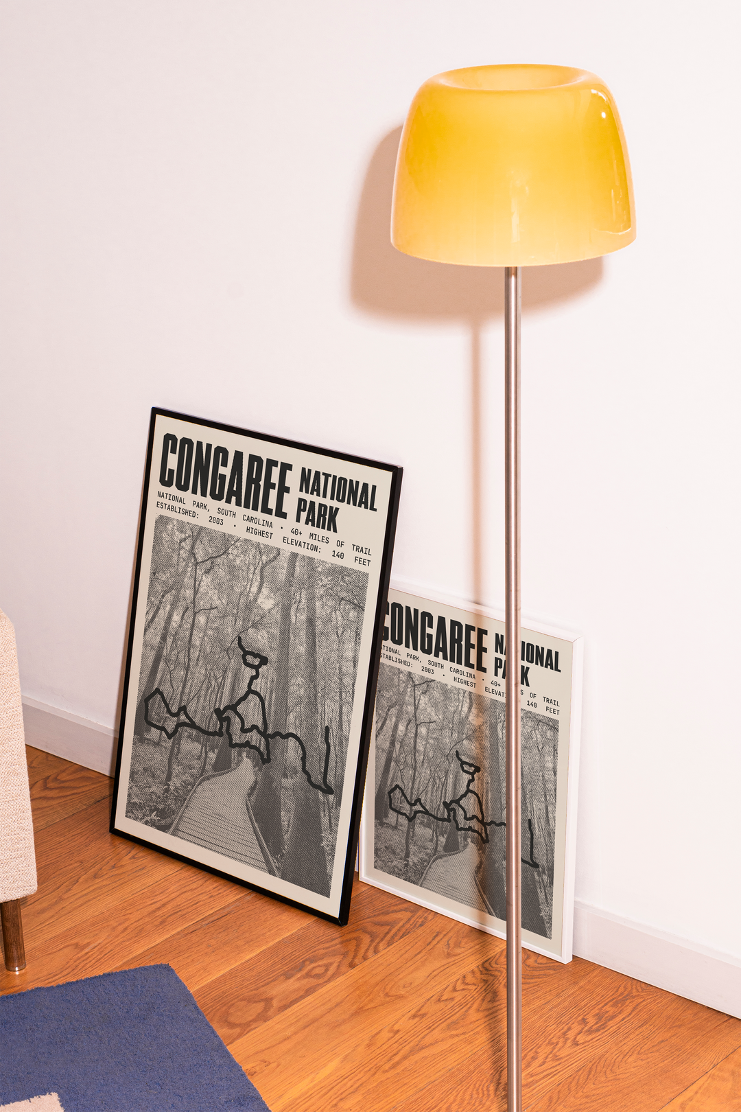 Congaree National Park Poster