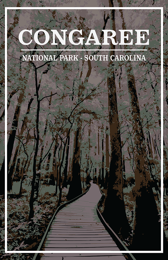 Congaree National Park Print | Vintage Style