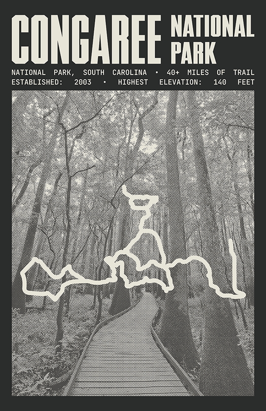 Congaree National Park Poster