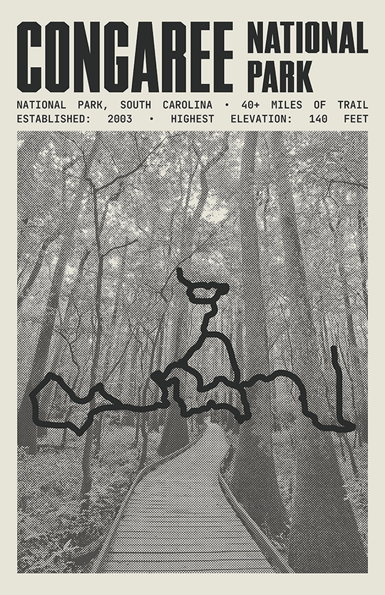 Congaree National Park Poster