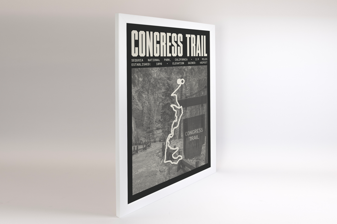 Congress Trail Poster | Sequoia National Park Prints