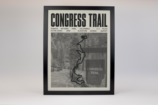 Congress Trail Poster | Sequoia National Park Prints