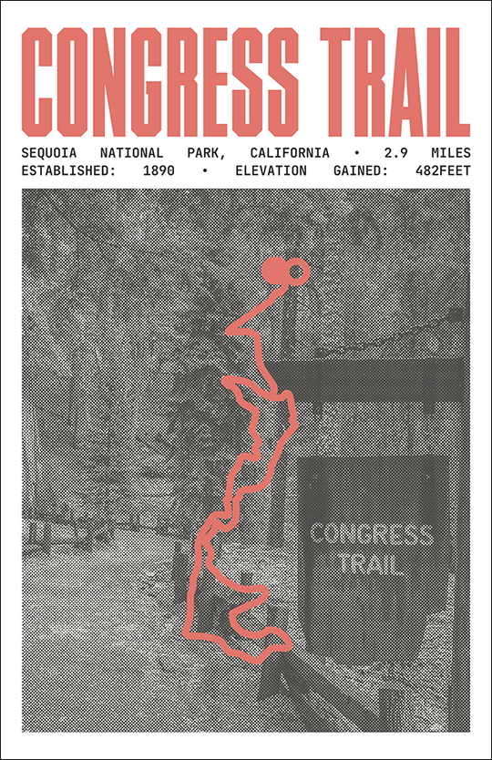 Congress Trail Poster | Sequoia National Park Prints