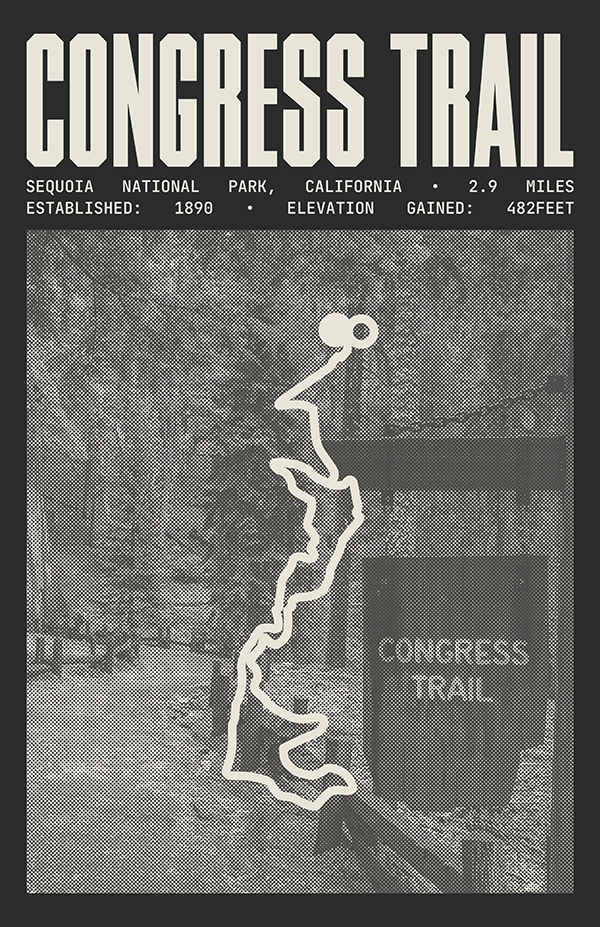 Congress Trail Poster | Sequoia National Park Prints