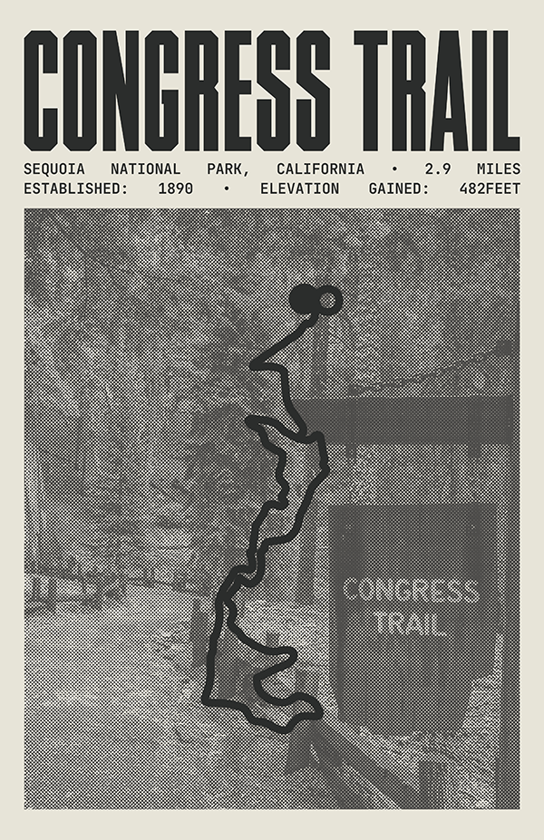 Congress Trail Poster | Sequoia National Park Prints